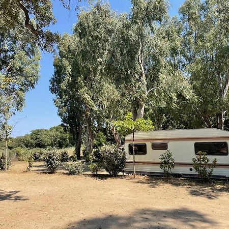 Camping La Baie Des Voiles Villa Porto-Vecchio  Dış mekan fotoğraf