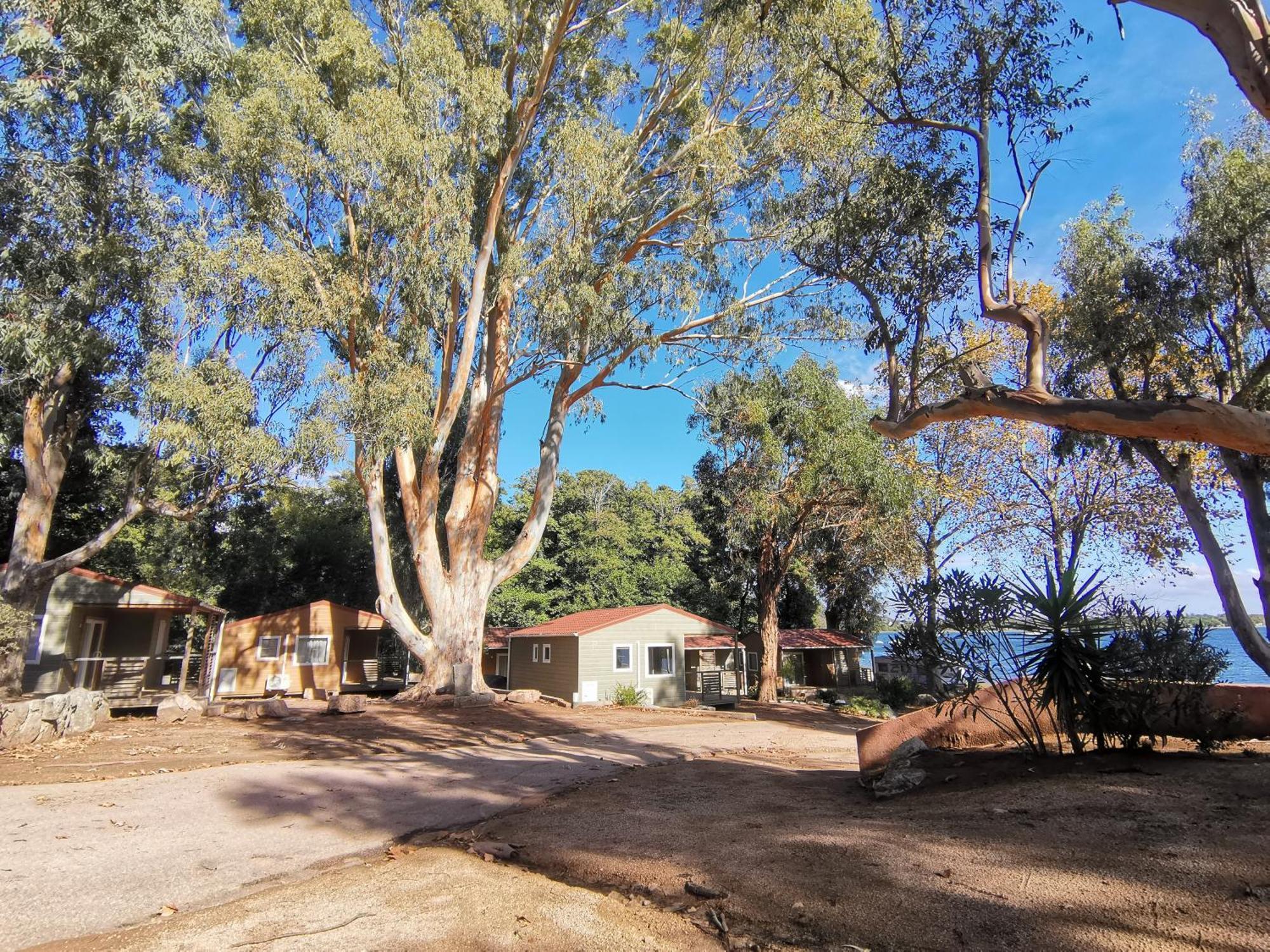 Camping La Baie Des Voiles Villa Porto-Vecchio  Oda fotoğraf