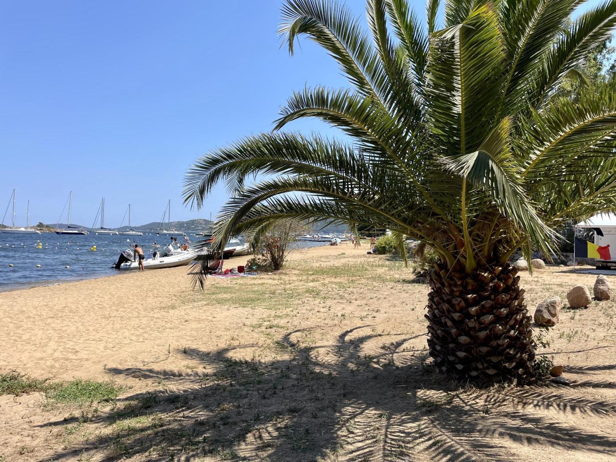 Camping La Baie Des Voiles Villa Porto-Vecchio  Dış mekan fotoğraf